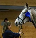 Heidi Ness and Little Loop